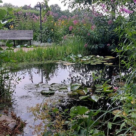 Vakantiehuisje Achter Odiliapeel Экстерьер фото