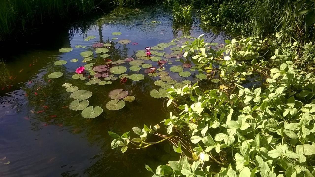 Vakantiehuisje Achter Odiliapeel Экстерьер фото